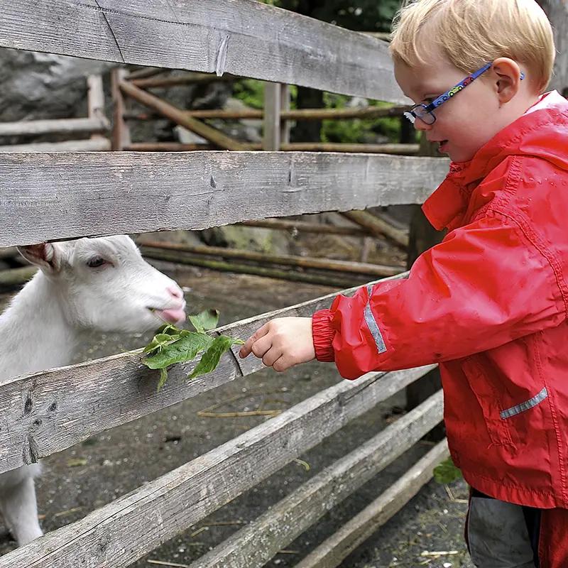 Bio-Ferienhof Pirkers - Toddler-friendly nature hotel in Bad Aussee, Austria