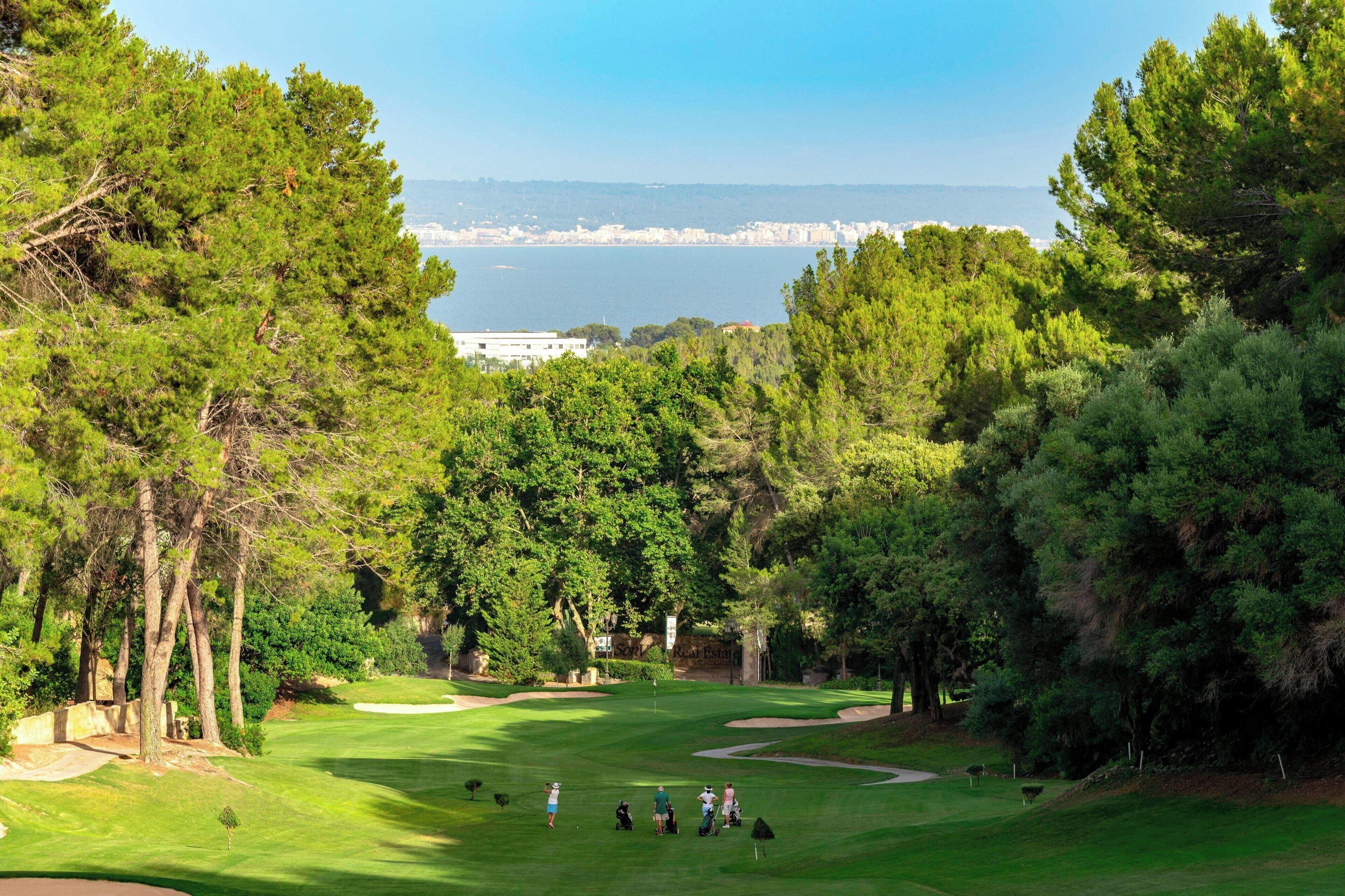 Sheraton Mallorca Arabella Golf Hotel - Toddler-friendly hotel view 5